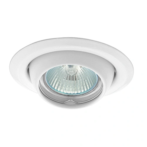 Spotlight Fitting Moveable Eye Shape
