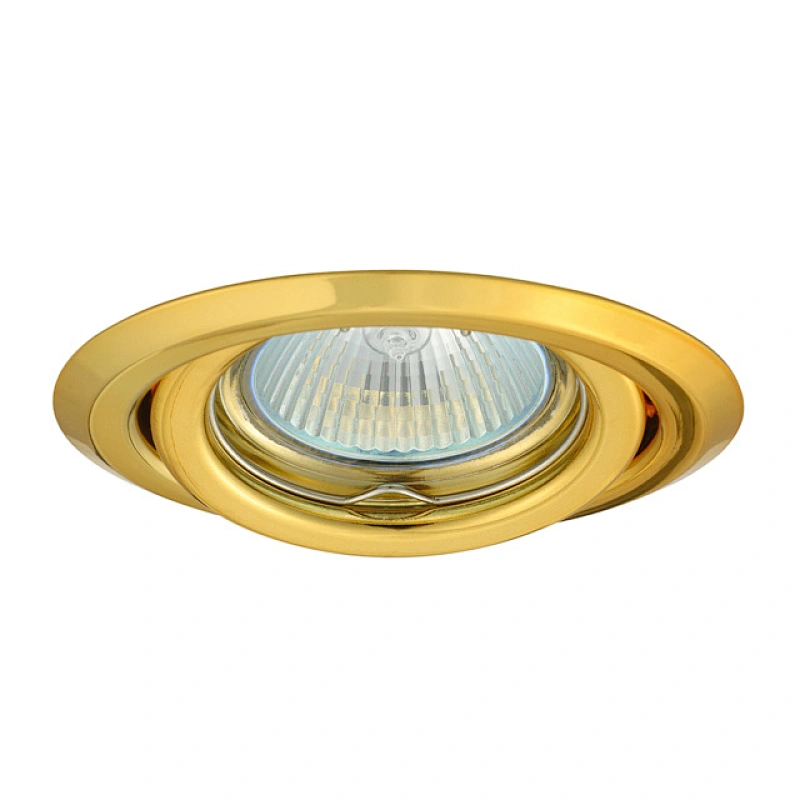 Downlight Fitting Steel Moveable