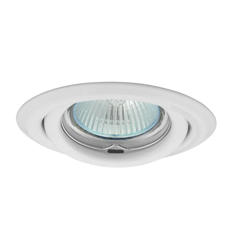Downlight Fitting Steel Moveable