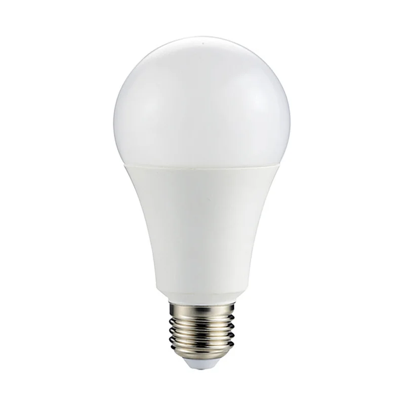 E27 LED Bulb A65
