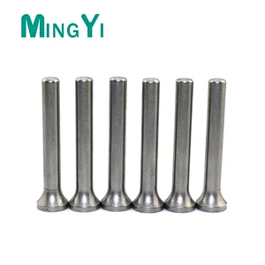 Mold Parts Stainless Steel Cylindrical Flat/Round Ejector Pin
