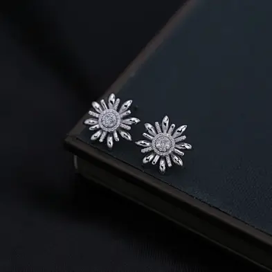 earrings in silver