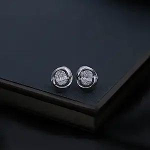 silver earrings with stones