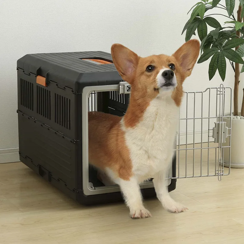 Foldable Dog Cage , Easy to Assemble , Convenient Carry Handle Guangzhou Wowo Pet Products Co.,Ltd