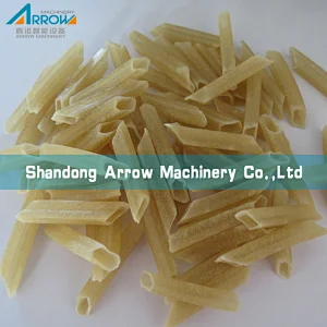 3D Pellet Snacks Process Line