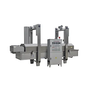 Continous Fryer