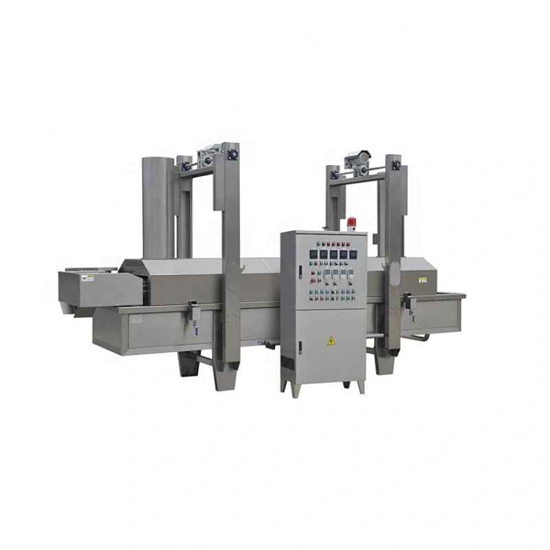 Continous Fryer