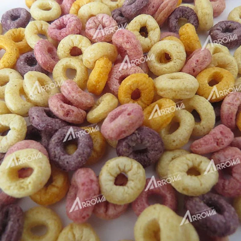 Corn Flakes Manufacturing Plant