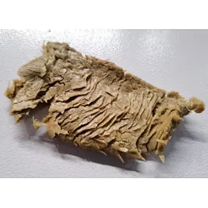 高水分植物蛋白生产线