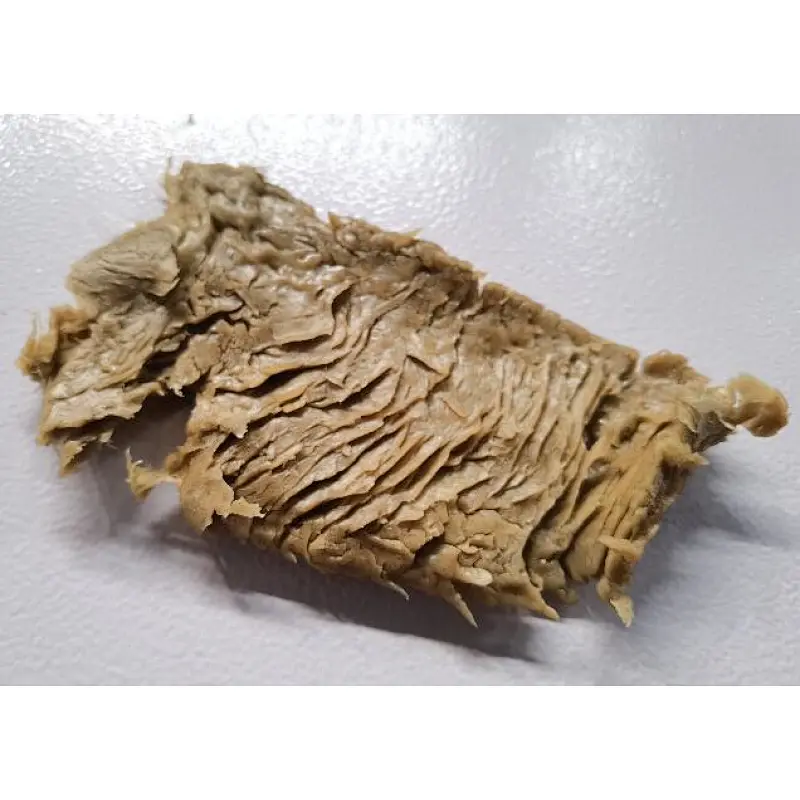 高水分植物蛋白生产线