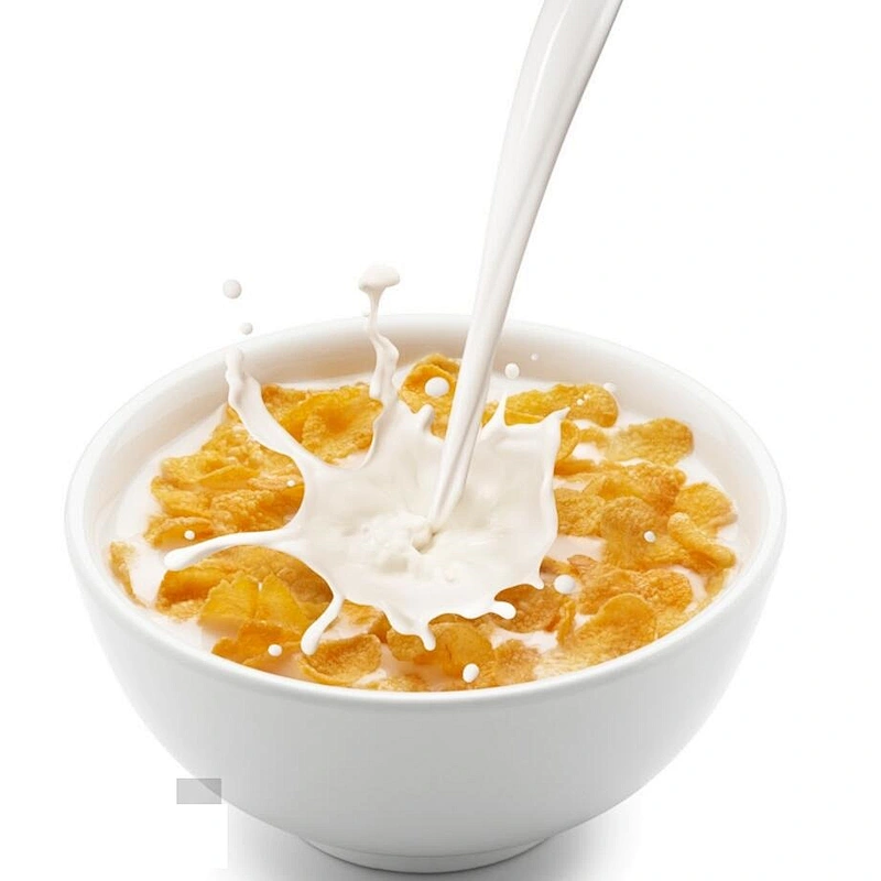 Corn flakes breakfast cereals food process machines