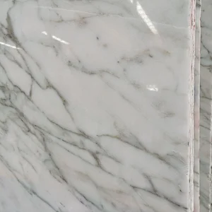 Newest White Marble Cut to Size Flooring Tiles and Slabs