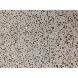 italian marble