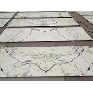 Factory Price Light green marble slab with natural veins for floor and wall tiles