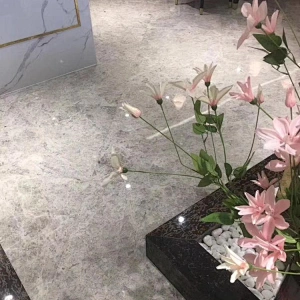 Dora Grey marble slabs