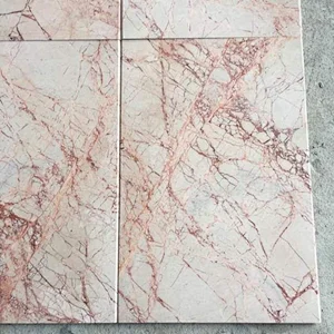 Natural Rosa Beige Marble Tiles with Red Veins