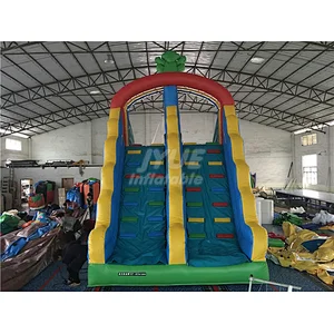 Mini Size Frog Inflatable Pool Slide For Inground Swimming Pools