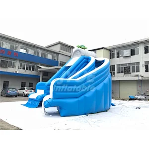 Portable Water Park Tortoise Pool Slide For Sale , Inflatable Water Slide Into Pool