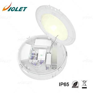 IP65 Outdoor Waterproof Light with Motion Sensor Function, Ceiling Light Manufacturer