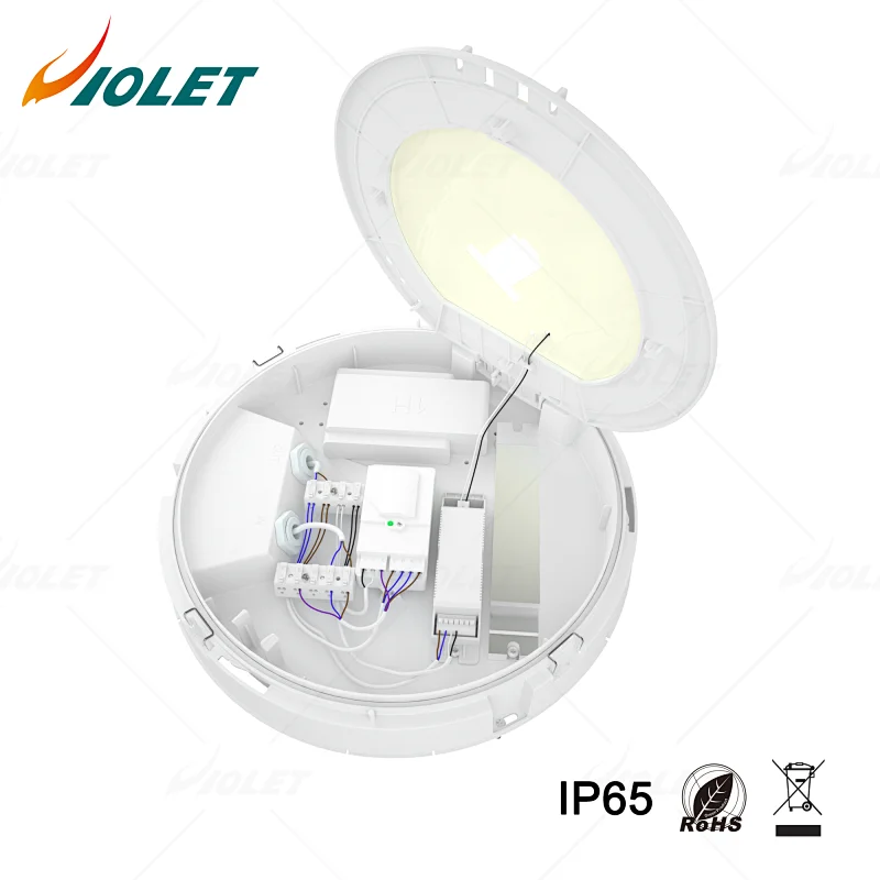 indoor ceiling light factory