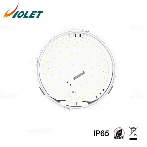 IP65 Outdoor Waterproof Light with Motion Sensor Function, Ceiling Light Manufacturer