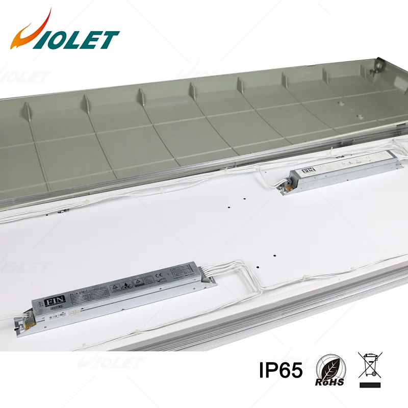 t8 tube light supplier
