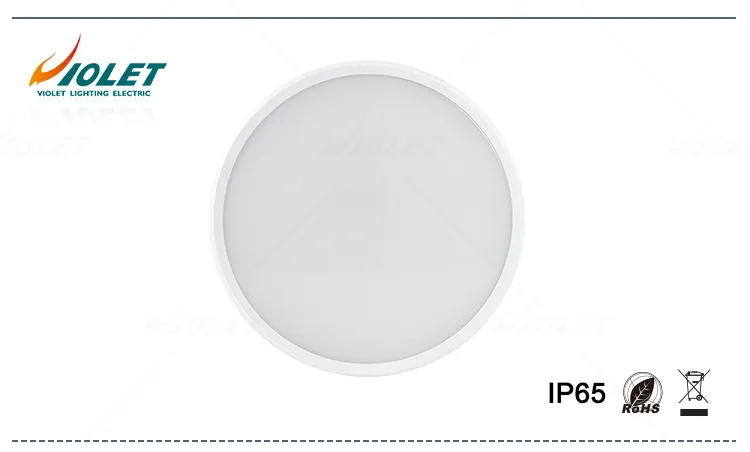 15w led ceiling light ip65