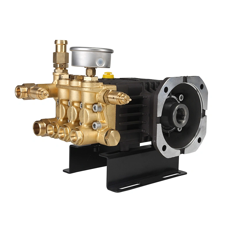 Wholesale 3190psi 220bar high pressure power wash pump