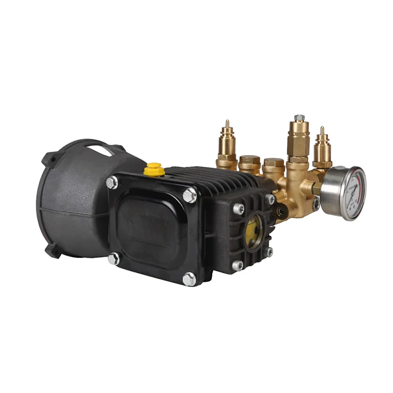 1450psi 130bar电动立式压力洗车泵