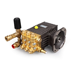 Wholesale 3190psi 220bar high pressure power wash pump