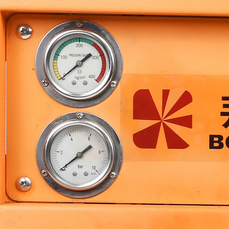 1450psi 100 bar 220V 电​​子洗车机
