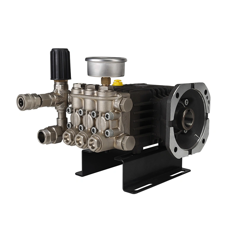 Wholesale 3190psi 220bar high pressure power wash pump