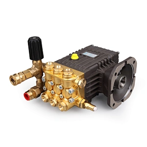 Hot sell 250bar 3625psi high presure washer pump
