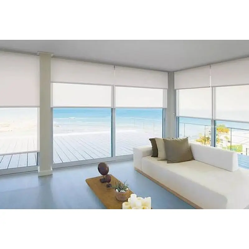 day and night dual roller shades , double roller blinds blackout