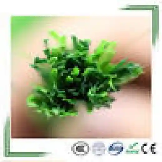 used artificial sport grass