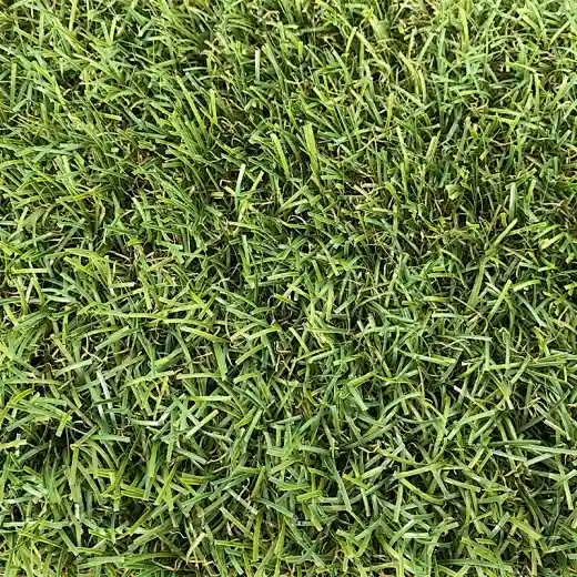 artificial landscaping grass