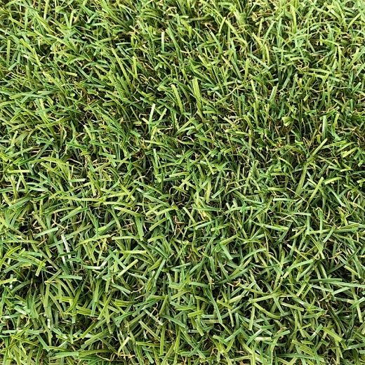 artificial landscaping grass