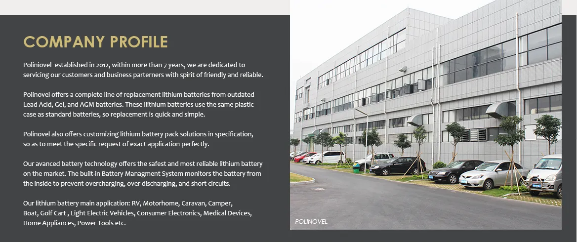 Company profile.png