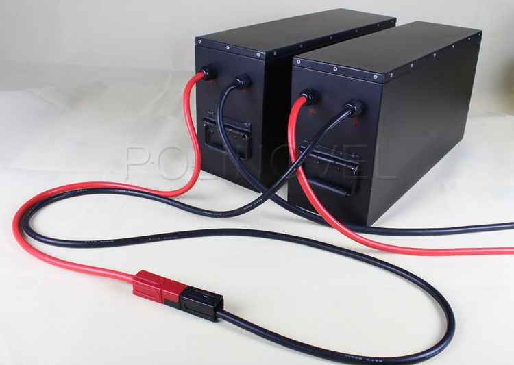 Ev Car 48v Lifepo4 Ion 24v Lithium Battery Pack