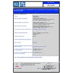 CB Certification - (IEC60598) - LED Neon Flex