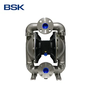 BSK air premium AODD pumps manufacturer factory