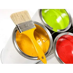PAINT & COATINGS