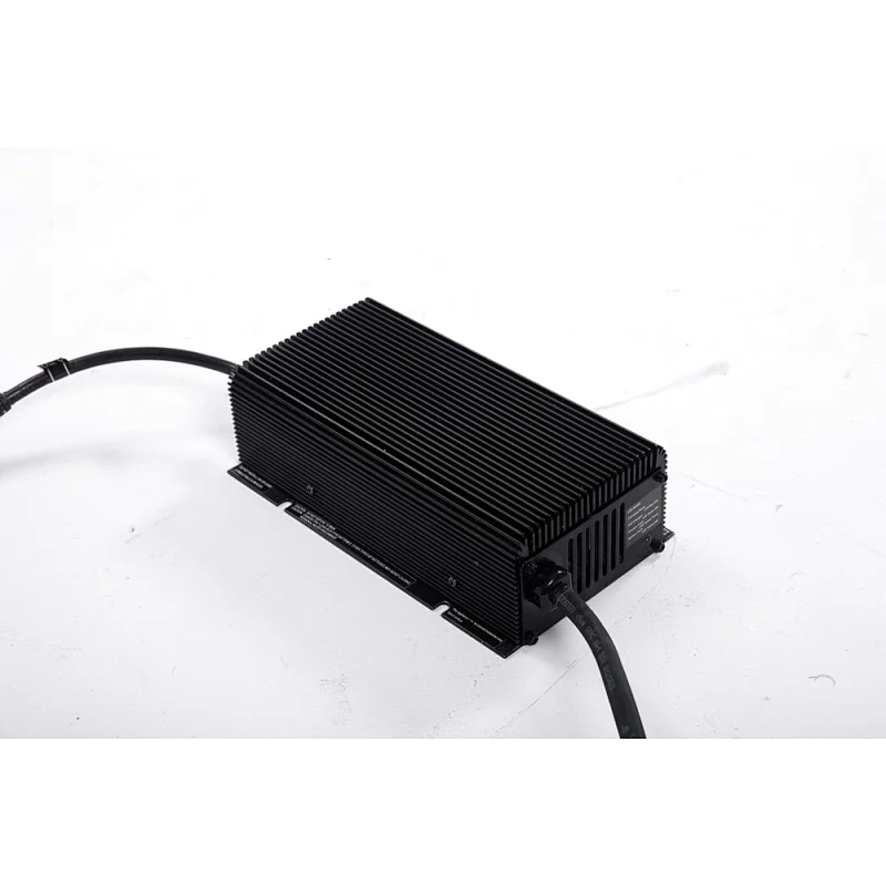 ESCH24V15A On-board charger