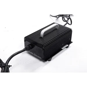 ESCH24V12APortable  charger
