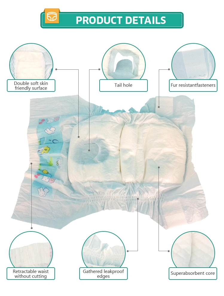 female dog diaper structure picture