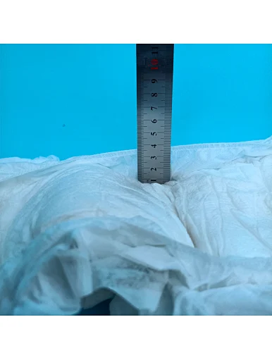 adult panty diaper