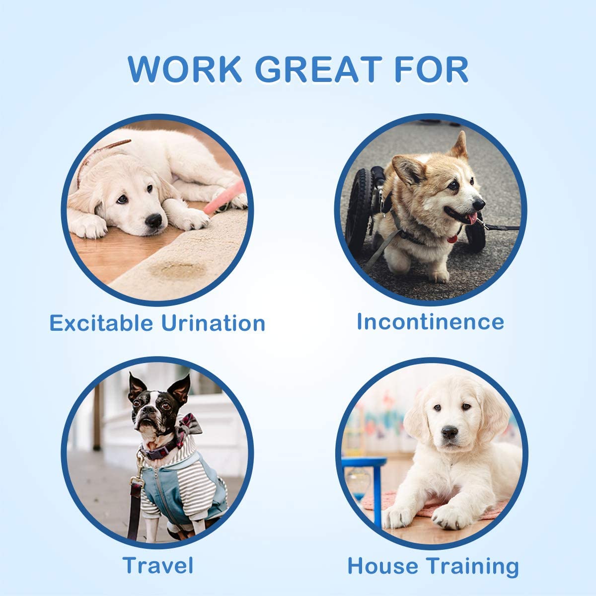 dog diaper usage disposable dog diaper