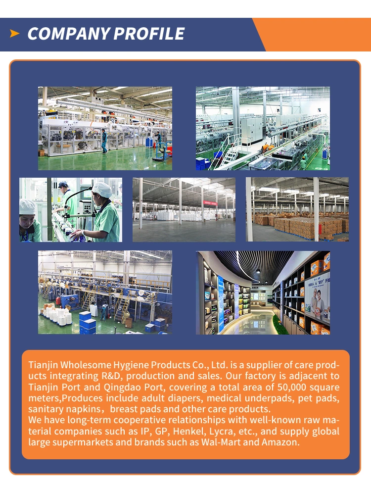 pad absorb factory picture