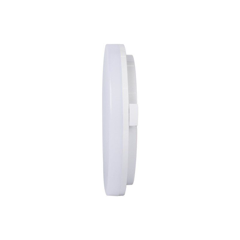 SX04R LED Ceiling Light