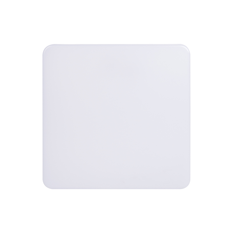 SX04Q LED Ceiling Light